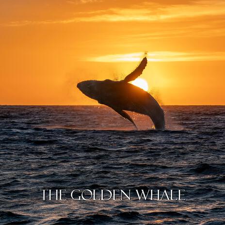 Man and the whale cover art