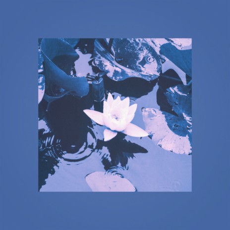 Summer Rain cover art