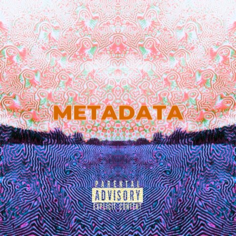 nechci nebudu ft. H4nz cover art