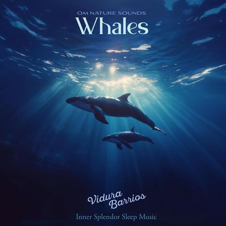 Om Nature Sounds Whales ft. Vidura Barrios cover art