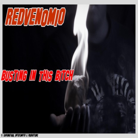 Busting in This Bitch cover art