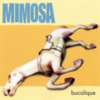 Mimosa