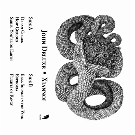 Flights of Fancy cover art
