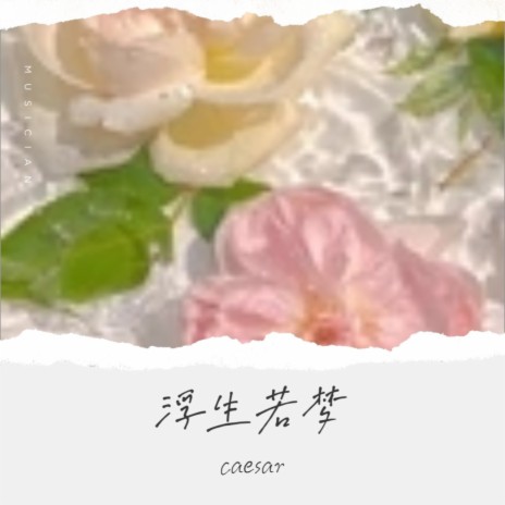 浮生若梦 cover art