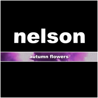 Autumn Flowers