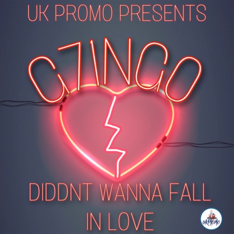 Diddnt Wanna Fall in Love cover art