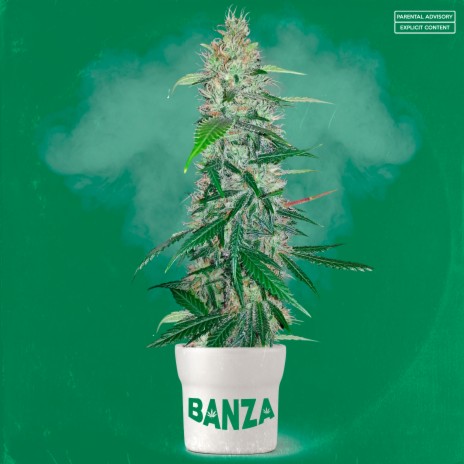 Banza cover art