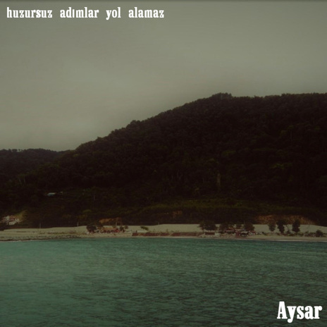 gerçekten iğrenç bir hayat cover art