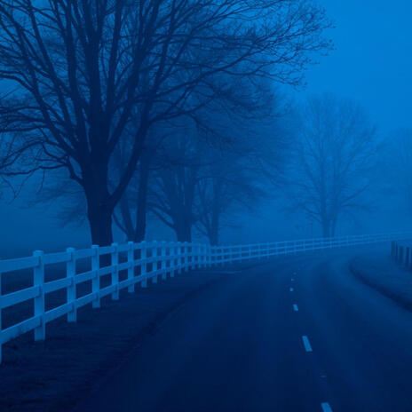 she was never real cover art