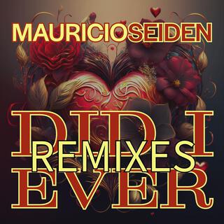 Did i ever... (remixes)