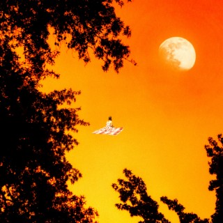 cypress cover art