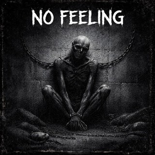 NO FEELING cover art