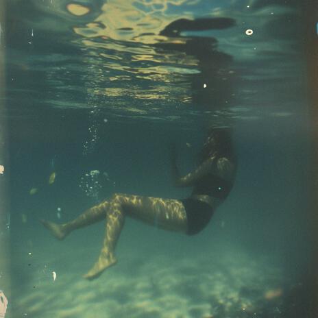 The Shallows cover art