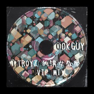 Troyz 的溝女教學 (VIP Mix) cover art