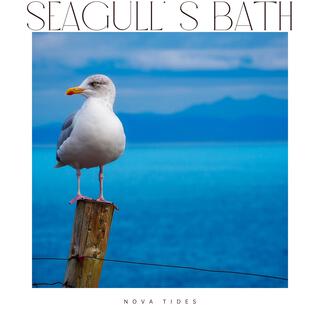 Seagull' s Bath cover art
