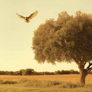 Renn nicht cover art
