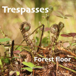 Trespasses