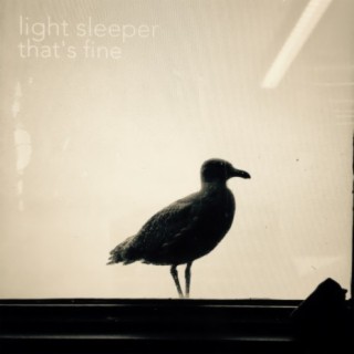 Light Sleeper