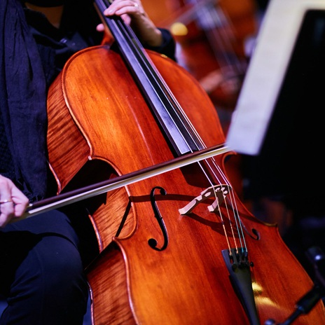 Evening Calm Through Orchestra's Notes ft. Organic Nature Sounds & Four Robes