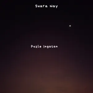Puzle Ingatan cover art