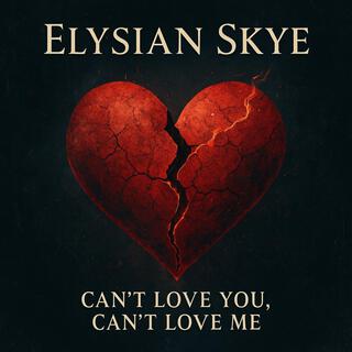 Can't Love You, Can't Love Me
