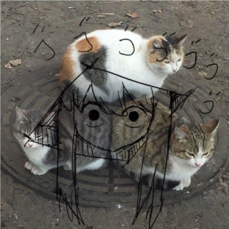 maxx cover art