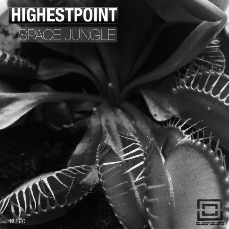 Shifting Shapes (Original Mix) cover art