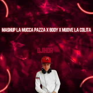 mashup la mucca pazza x body x muove la colita cover art