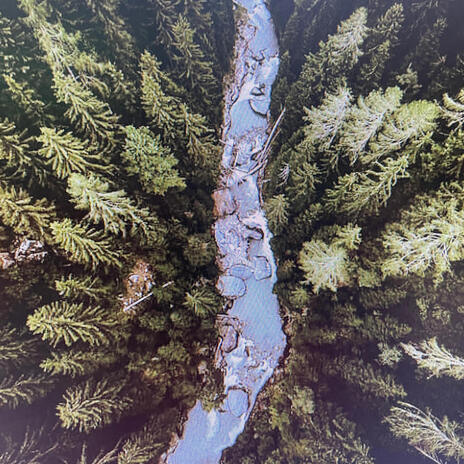 birds resting by the stream (AITIA Remix) ft. AITIA, Nordic Wilderness & El Naturel cover art