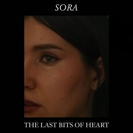 The Last Bits of Heart cover art