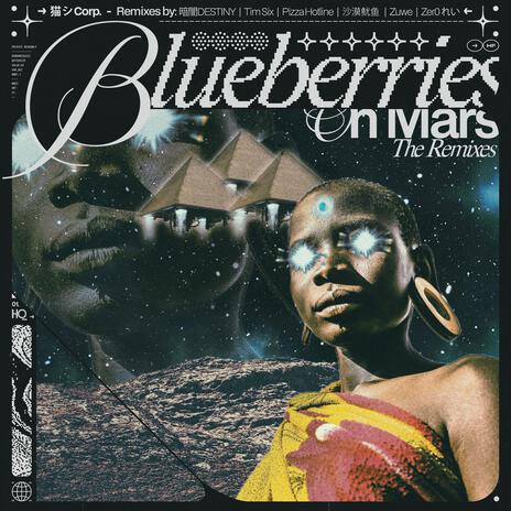 Blueberries on Mars (沙漠鱿鱼 Remix) ft. 沙漠鱿鱼 cover art