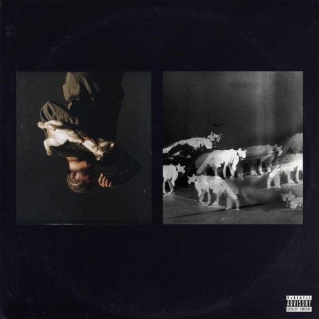 XL and Fatigues cover art