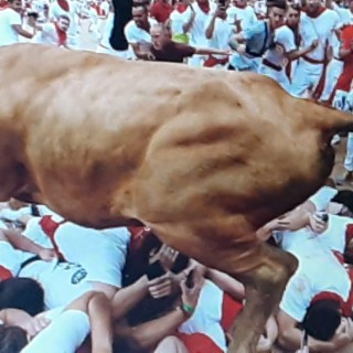 7Safiya