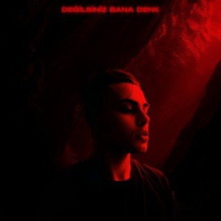 Değilsiniz Bana Denk ft. STVR cover art