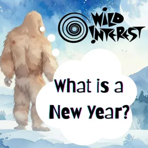 What is a New Year? cover art