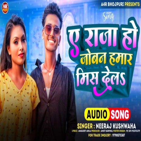 Ae Raja Ho Joban Hamar Miss Del cover art
