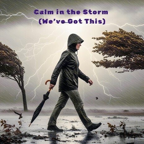 Calm in the Storm (We've Got This) cover art