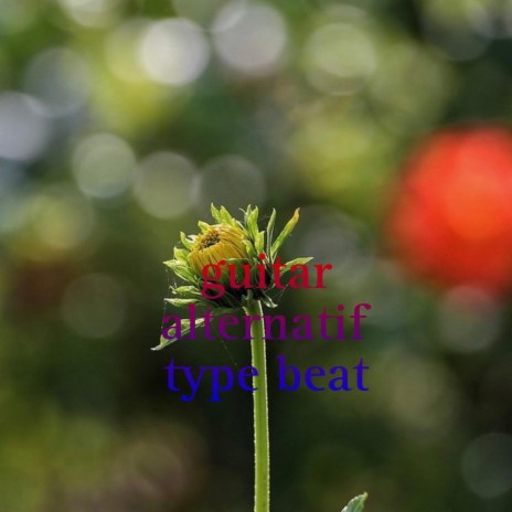 Guitar Alternatif Type Beat (Acoustic) ft. Mannequen