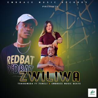 Zwiliwa ft. Faneli & Embrace music beats