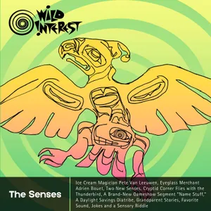 The Senses cover art