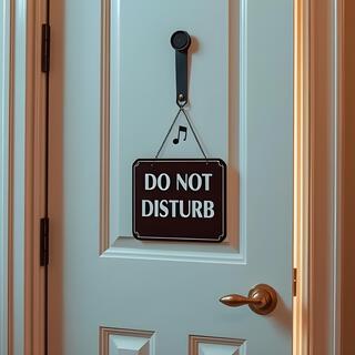 Do Not Disturb
