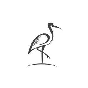 Keluarga Burung Bangau _1 cover art