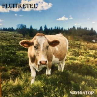 FLUITKETEL