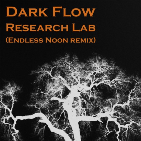 Research Lab (Endless Noon Remix) cover art