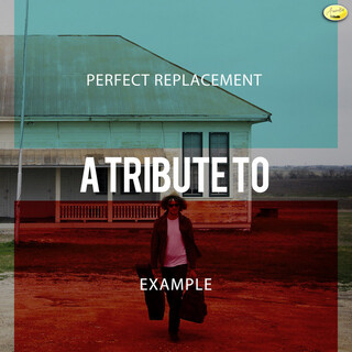 Perfect Replacement - A Tribute to Example