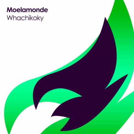 Whachikoky (Original Mix) cover art