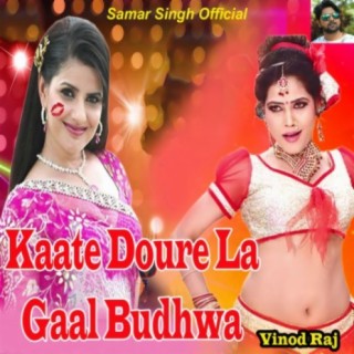 Vinod Raj