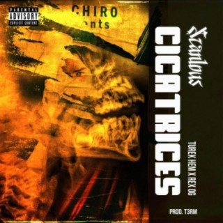 Cicatrices (feat. Turek Hem & REX OG) cover art