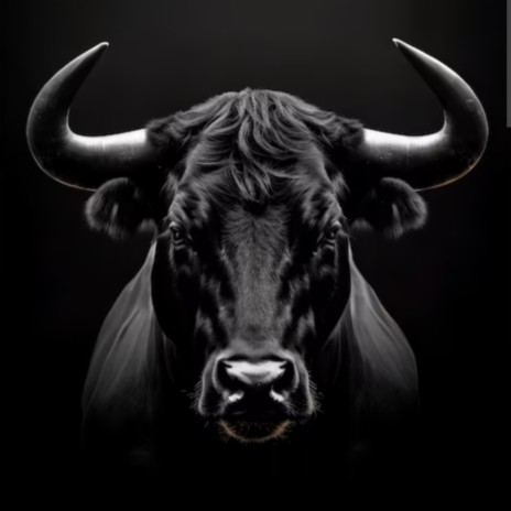 Toronegro (Versión instrumental) cover art