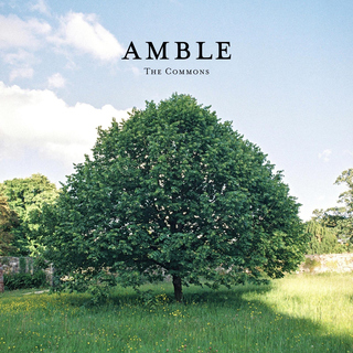 The Commons cover art